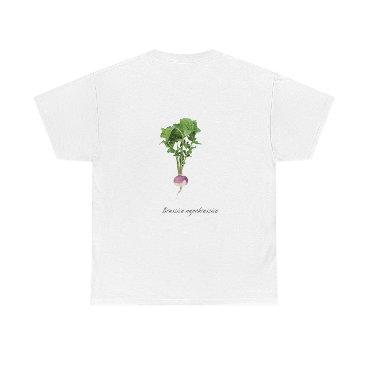 Turnip