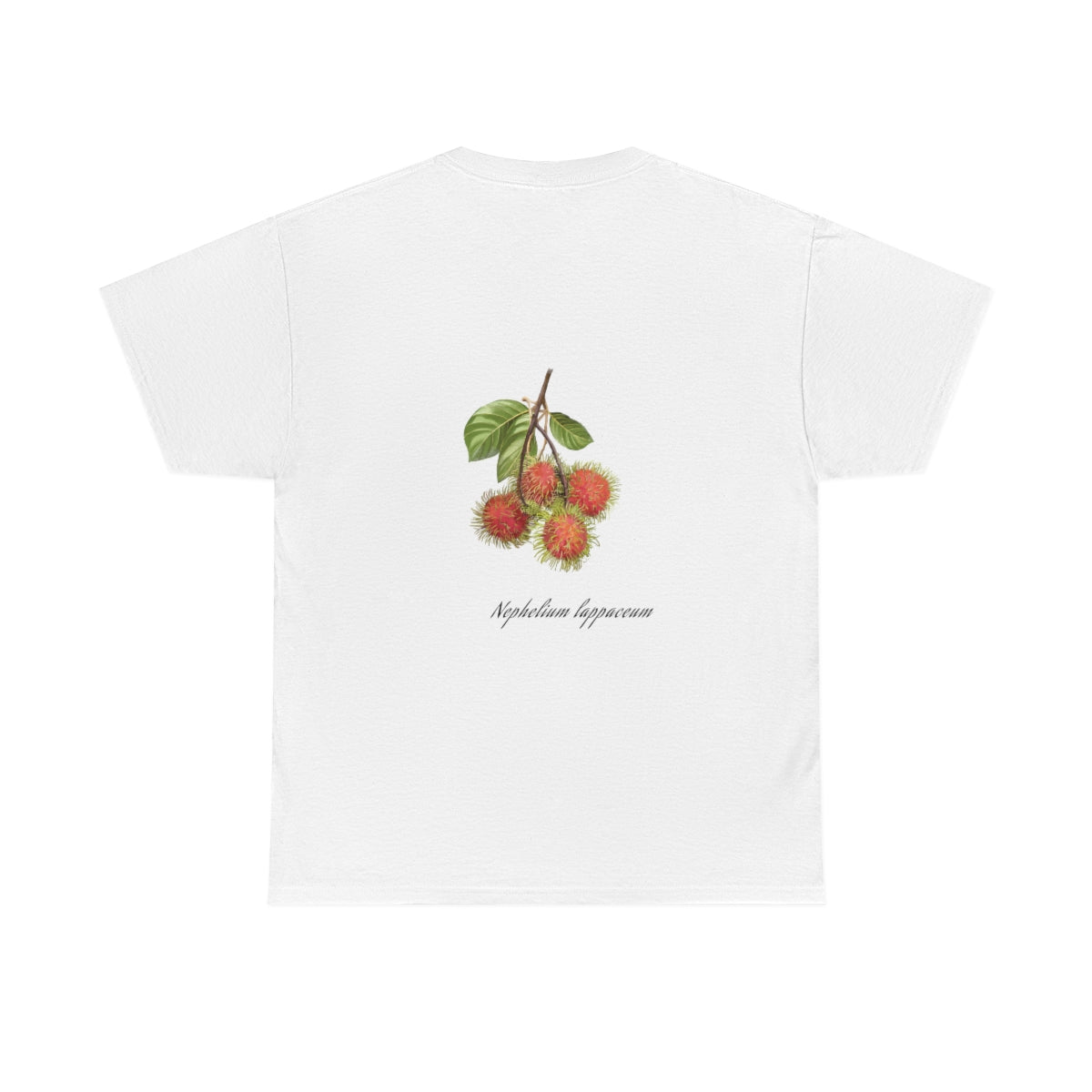 Rambutan