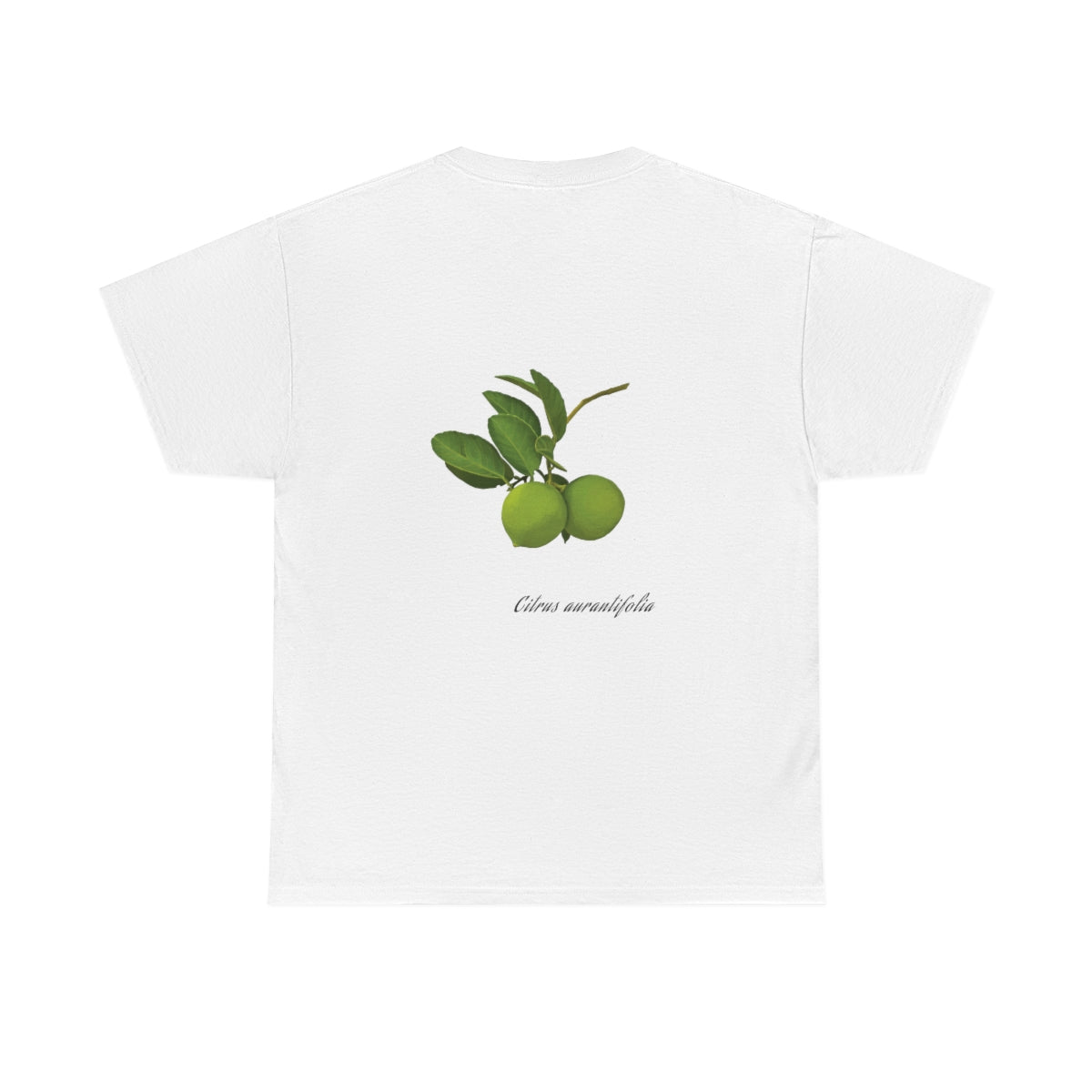 Lime