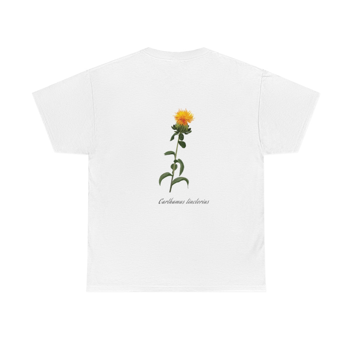 Safflower